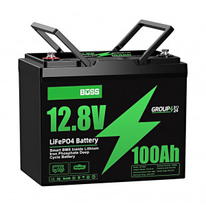 Solární LiFePO4 baterie SOLAR ENERGY 12,8 V 100Ah BMS