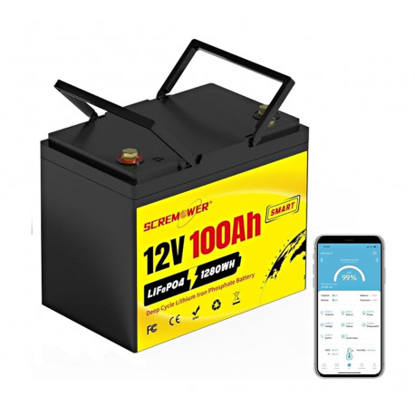 LiFePo4 baterie s bluetooth 12,8V 100Ah