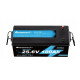 LiFePo4 baterie 24V 100Ah Ameisentech