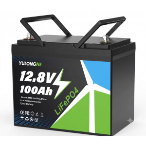 Youlong NE baterie LiFePo4 85Ah 12V